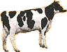 Gewolftes
