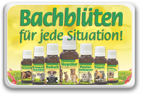 Bachblüten