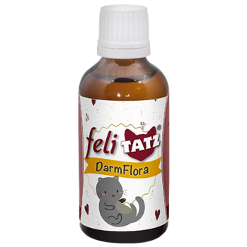 feliTATZ DarmFlora 50 ml